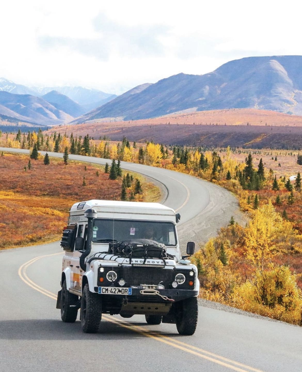 Denali Road Trip